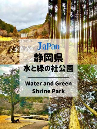 🇯🇵静岡県　おすすめ観光スポット　水と緑の社公園