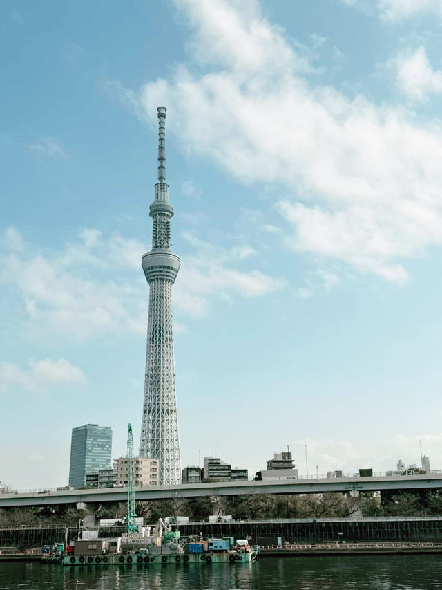 Tokyo Japan 🌸❤️🇯🇵