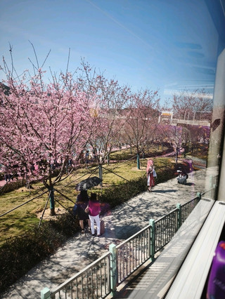 2026年香港-習近平之旅