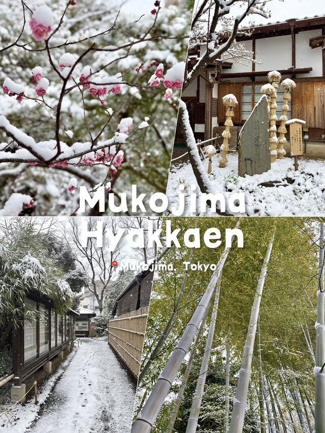 Edo Garden Under a Gentle Snowstorm