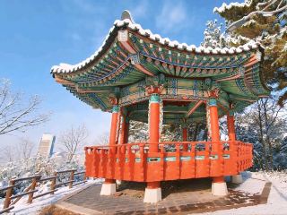 Namak Residential Area's Small Hill, Daejukdo