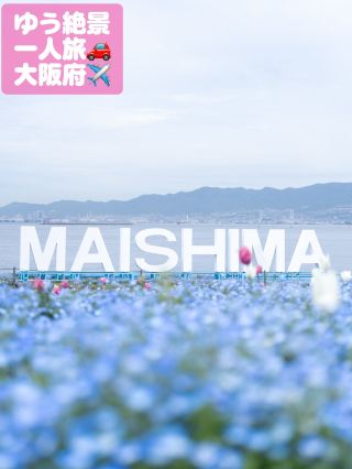 A Must-Visit Floral Spectacle! 1 Million Blue Flowers in Full Bloom at Maishima Seaside Park (April 11–May 10, 2026).