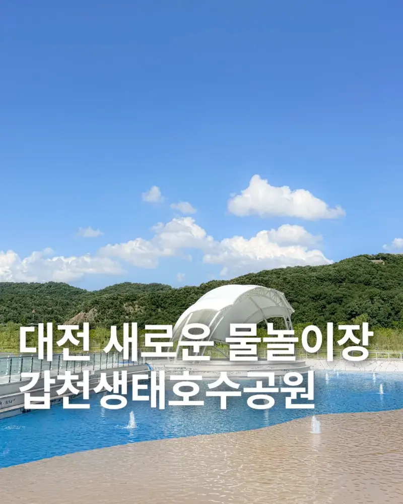 대전 갑천생태호수공원 새로운 물놀이장 개장