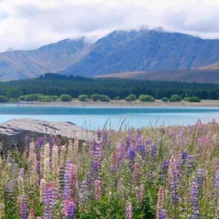 Lake Tekapo: The Wildly Photogenic New Zealand Gem