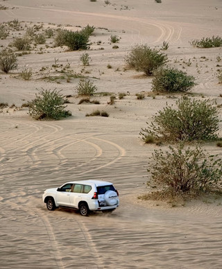 沙漠之旅：杜拜難忘的冒險之旅🇦🇪🏜️✨