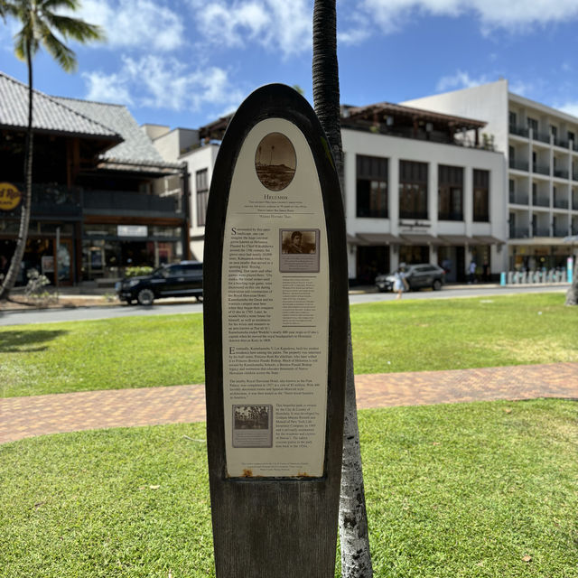 Exploring Waikiki 🌺 