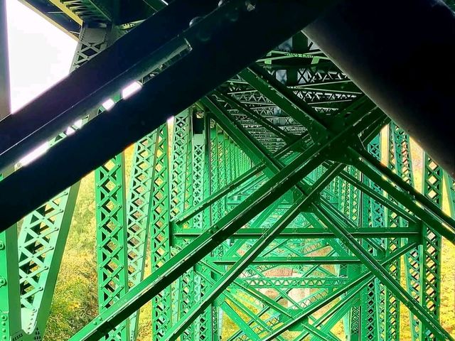 So much beauty to see at Cut River Bridge