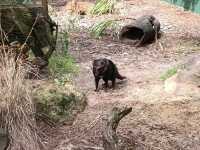 パースの動物園紹介