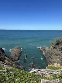 Beautiful National Park in Noosa