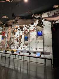 人気映画night museum のロケ地？！アメリカ自然史博物館