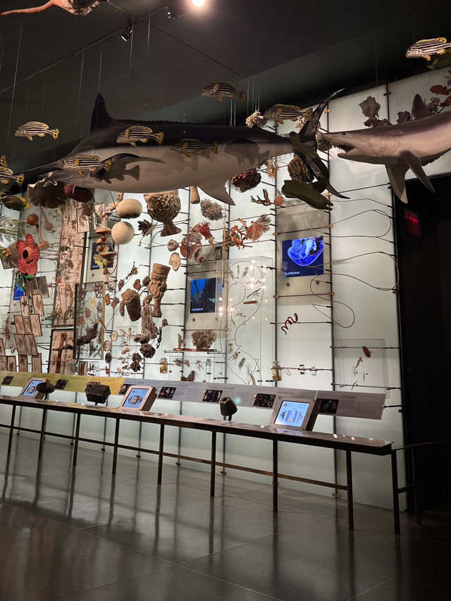 人気映画night museum のロケ地？！アメリカ自然史博物館