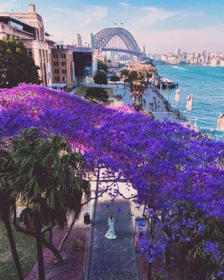 🌊 Pretend to be in the Southern Hemisphere sunshine! Sydney Ultimate Harbor Guide | Unlock Opera Sunset, Bonday Beach and Blue Mountain Wonderland 🏛️🏄‍♂️🦘