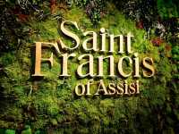 Discovering Saint Francis Exposition