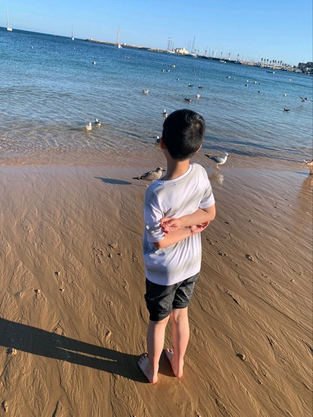 陽光與海灘親子游@里斯本