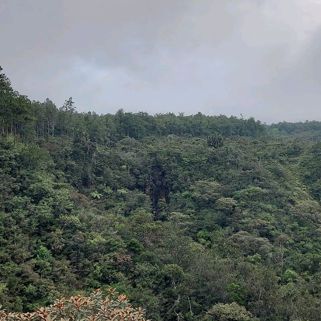 Amazing view from Alexandra Falls Viewpoint!