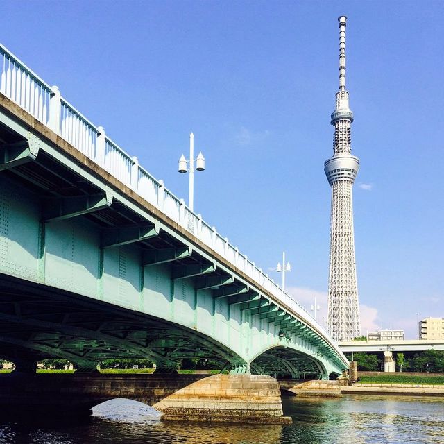 Adventures in the Heart of Tokyo