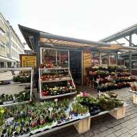 A Heartwarming Day Strolling Through Würzburg