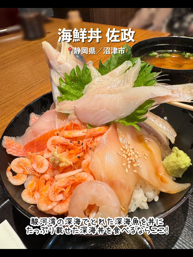 【静岡】沼津のおすすめ観光スポット7選🐟