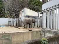 Utsunomiya Zoo 🇯🇵