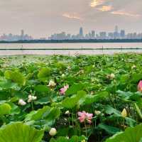 Wuhan beauty