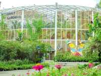 Bangkok Butterfly garden 🪴 