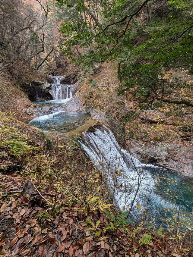 Nishizawa valley