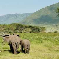 Into the heart of Ngorongoro