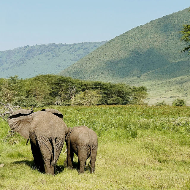 Into the heart of Ngorongoro