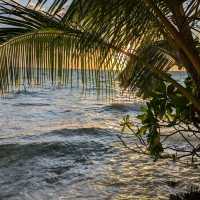 Ecoboo Maldives - perfect honeymoon experience 