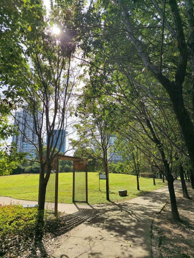 국내여행 산책하기 좋은 대전의 샘머리들의공원