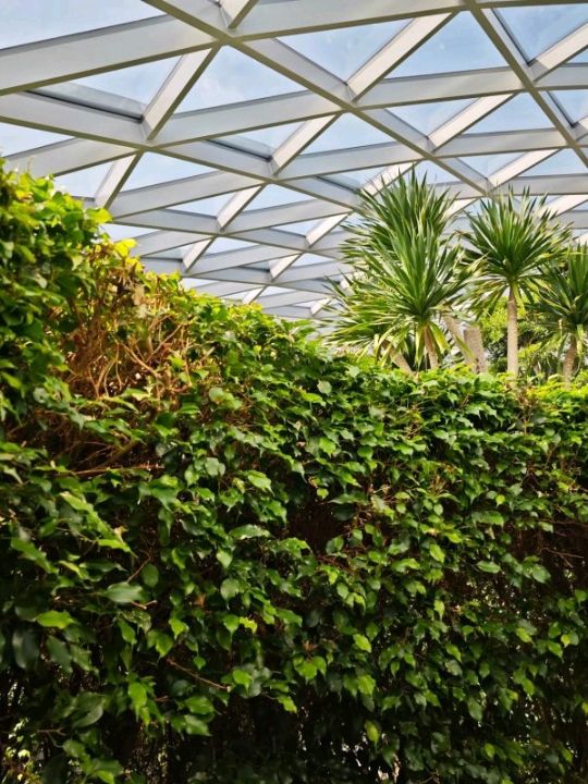 An awesome visit to canopy park 😎
