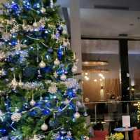 during Christmas, and the city was beautifully festive