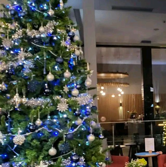 during Christmas, and the city was beautifully festive