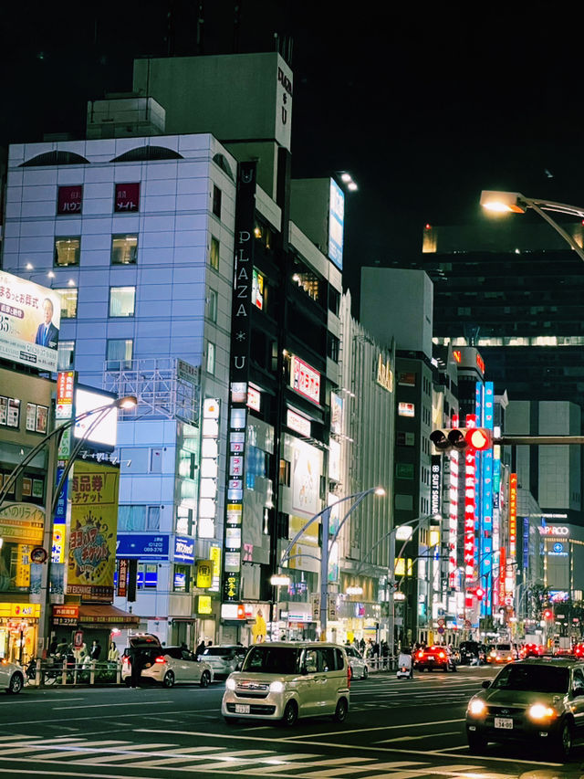 Top Must-Do Experiences in Japan’s Thrilling Capital