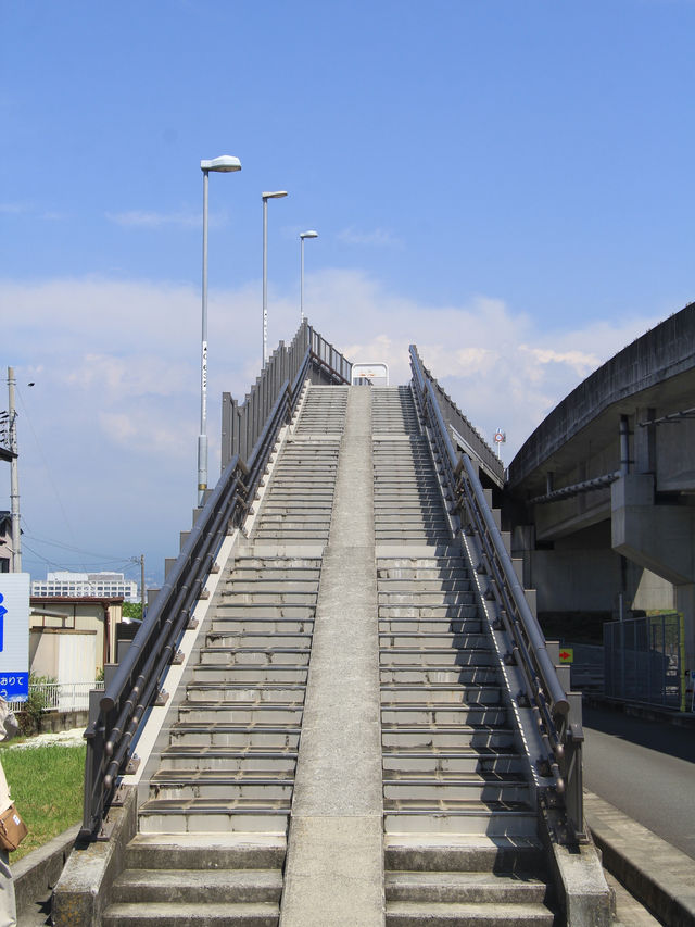 【東京近郊一天遊：靜岡大橋和新倉山淺間公園行程推介！】