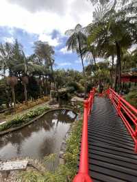 A tropical paradise