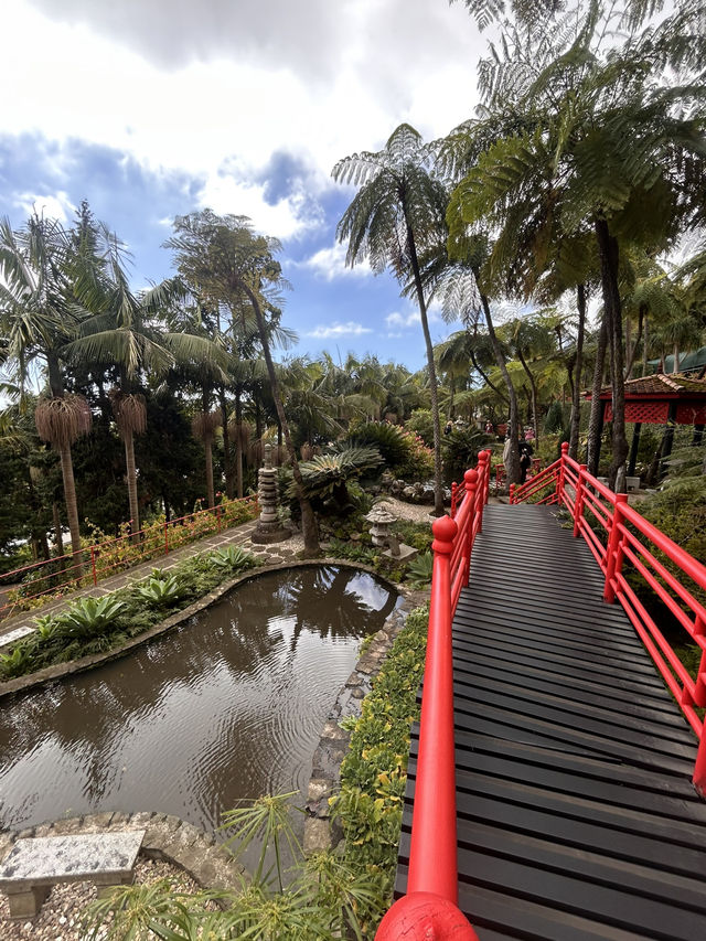 A tropical paradise