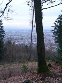 🌿 Exploring the Hills Around Freiburg