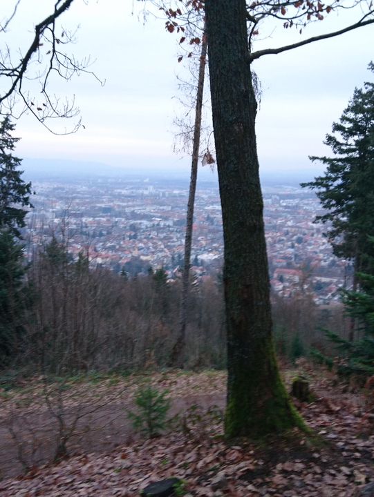 🌿 Exploring the Hills Around Freiburg