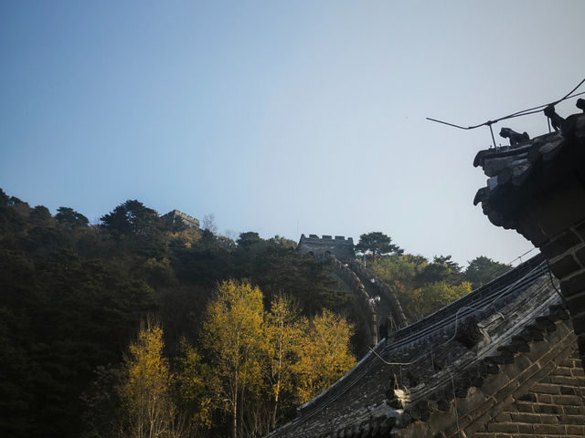 Why Visit Mutianyu in Autumn? 🍁🇨🇳