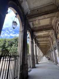 パリに行くべき5つの理由🇫🇷✈️🌎