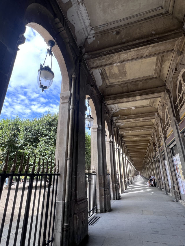 パリに行くべき5つの理由🇫🇷✈️🌎