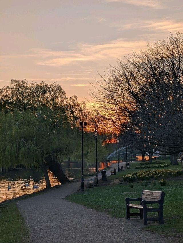Morning walk 🌞