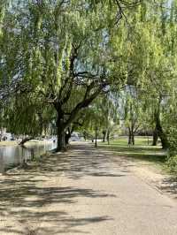 Bedford - spring 2025