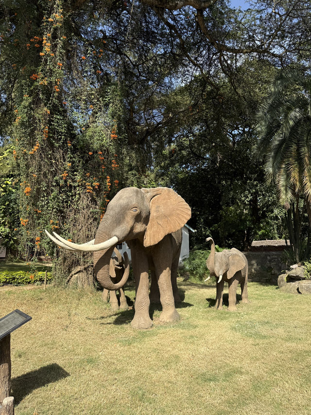 Nature & History at the base of Mount Kilimanjaro 🌱