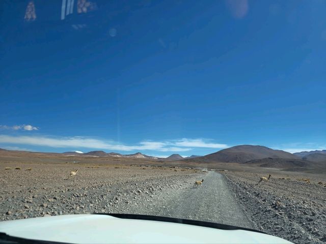 해외여행 볼리비아 고산에서의 오프로드여행 Altiplano