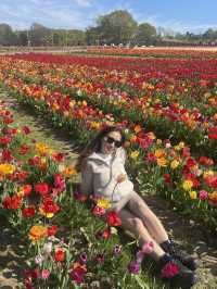 A day at Tulley’s Tulip Farm!🌷