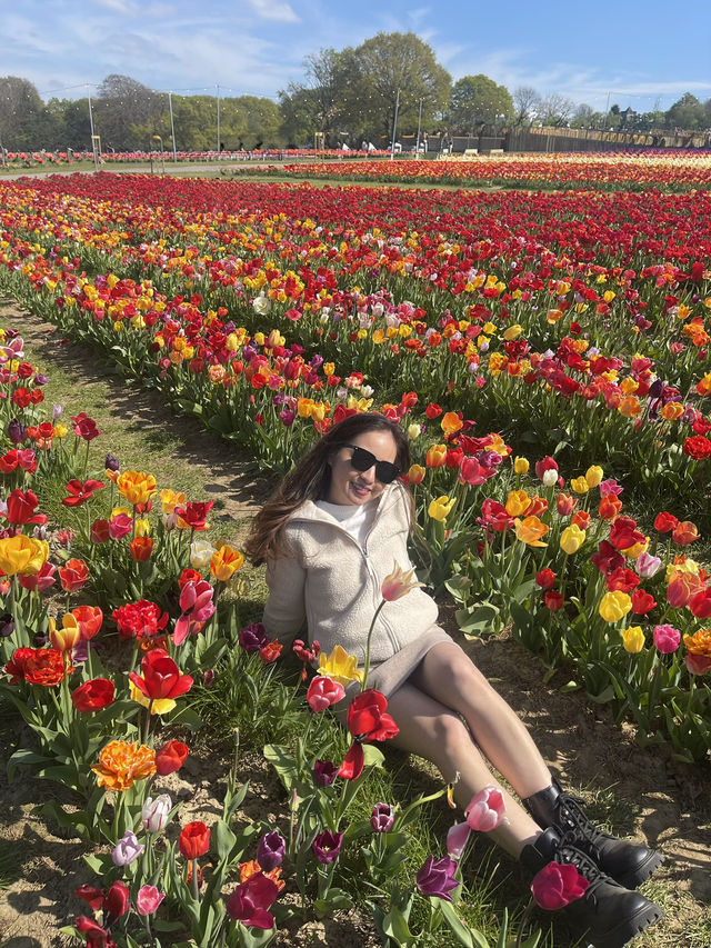 A day at Tulley’s Tulip Farm!🌷