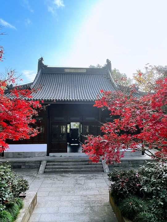 🍁 Red Leaves & Romance in Longjing Village, Hangzhou 🍂