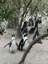 Best Europe Zoo in Belgium